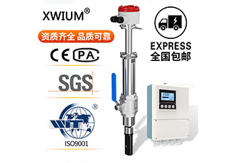 插入式电磁流量计