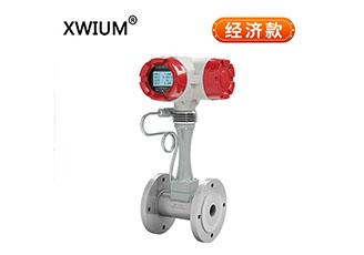 涡街流量计 经济款